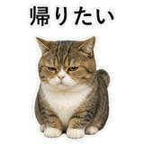 853368417