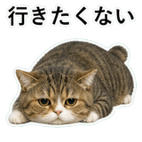 853368418