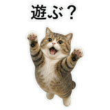 853368425