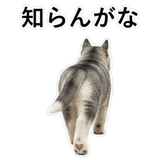 853368436