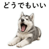 853368440