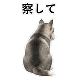 853368441