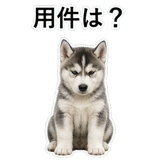 853368444
