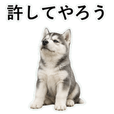 853368445