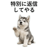 853368452