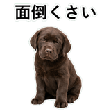 853368787