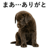853368806