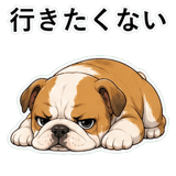 853368962