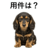 853368996