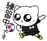 853369381