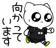 853369384