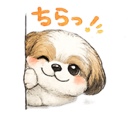 853369899