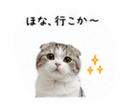 853369922