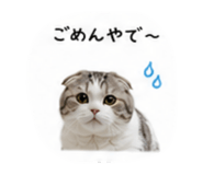 853369929