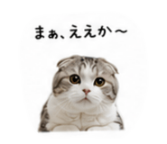 853369931