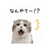 853369933