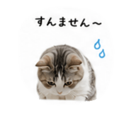 853369941