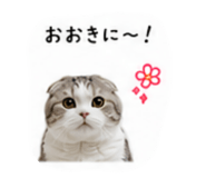 853369943