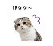 853369944