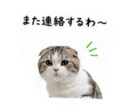 853369948