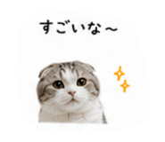 853369952