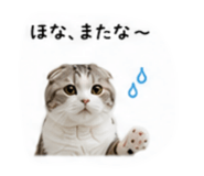 853369955