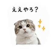 853369960