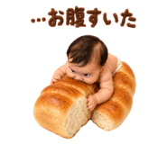 853370004