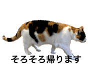853370122