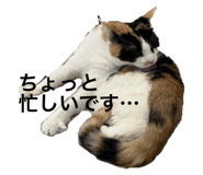 853370124