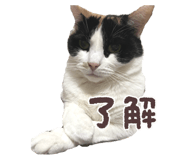 853370131
