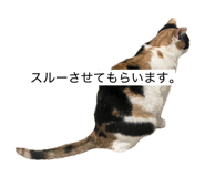 853370138
