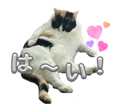 853370140