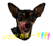 853370144