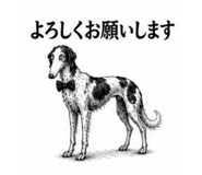 853370147