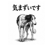 853370162