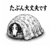853370165