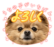 853370330