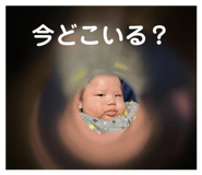 853370519
