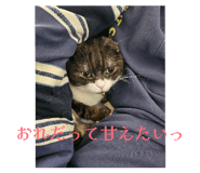 853370535