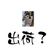 853370546