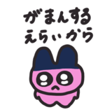 853372591