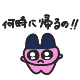 853372597