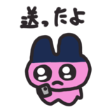 853372616