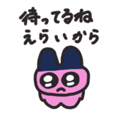 853372621
