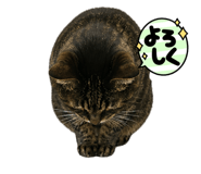 853373801