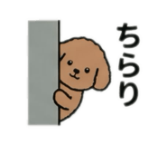 853374075