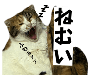 853374326