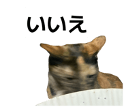 853374334
