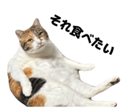 853374335